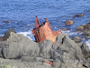s_PICT0477_thumb.png